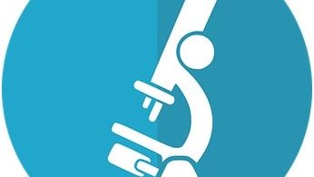 meilleur microscope usb