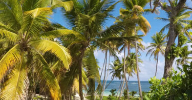 Les séjours labellisés VACAF : guide pour mieux comprendre le fonctionnement